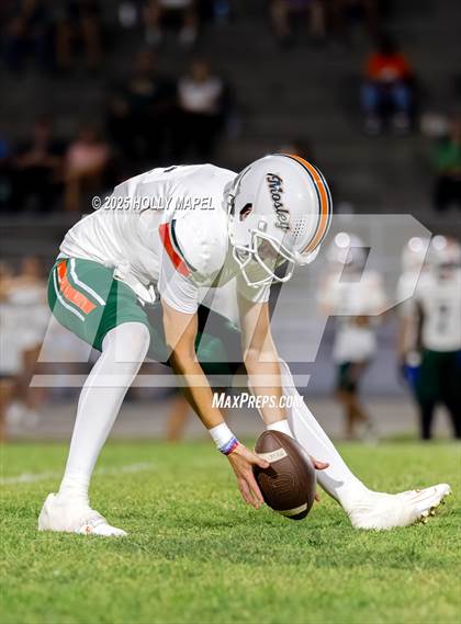 Thumbnail 3 in Mosley @ Navarre photogallery.