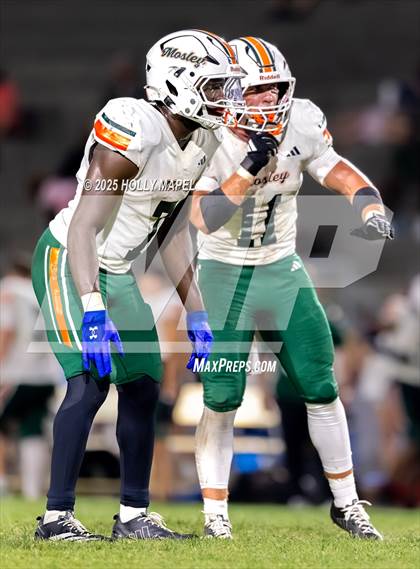Thumbnail 2 in Mosley @ Navarre photogallery.