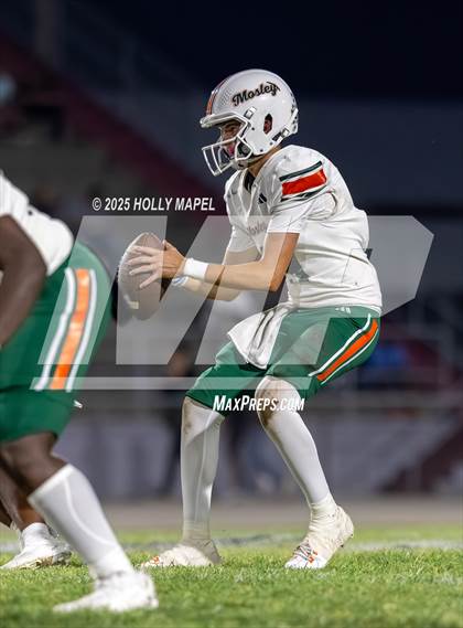 Thumbnail 1 in Mosley @ Navarre photogallery.