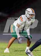 Photo from the gallery "Mosley @ Navarre"