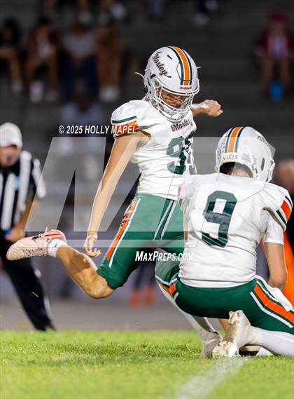 Thumbnail 3 in Mosley @ Navarre photogallery.