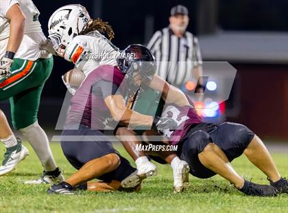 Thumbnail 2 in Mosley @ Navarre photogallery.