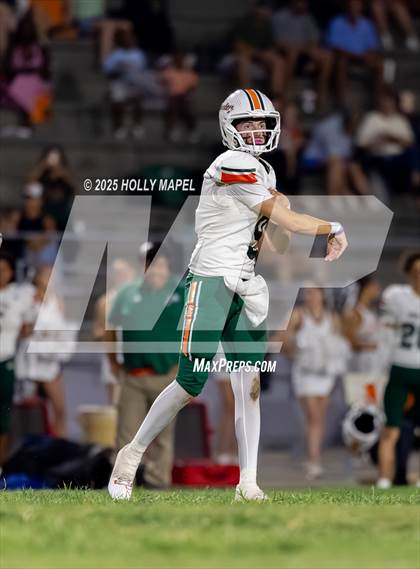 Thumbnail 2 in Mosley @ Navarre photogallery.