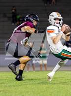Photo from the gallery "Mosley @ Navarre"