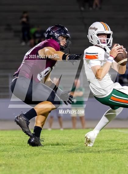 Thumbnail 1 in Mosley @ Navarre photogallery.