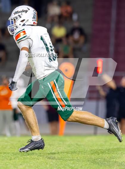Thumbnail 1 in Mosley @ Navarre photogallery.