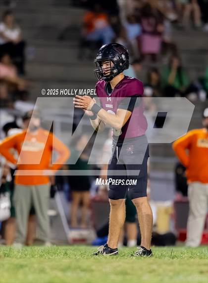 Thumbnail 3 in Mosley @ Navarre photogallery.