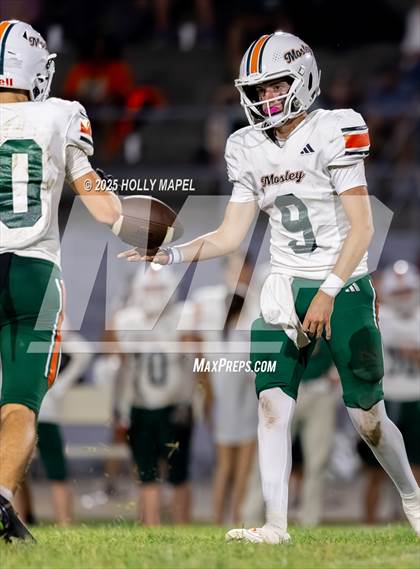 Thumbnail 1 in Mosley @ Navarre photogallery.