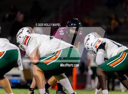 Thumbnail 3 in Mosley @ Navarre photogallery.