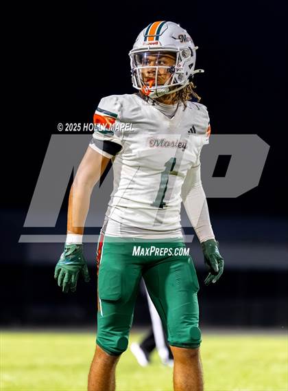 Thumbnail 3 in Mosley @ Navarre photogallery.