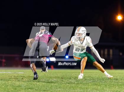 Thumbnail 2 in Mosley @ Navarre photogallery.