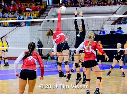 Thumbnail 3 in Yuma vs. Dolores (CHSAA 2A Playoff) photogallery.