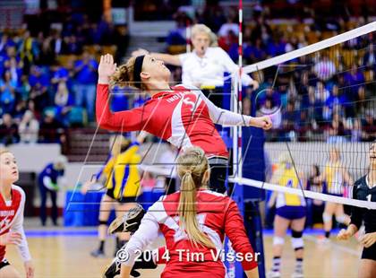 Thumbnail 2 in Yuma vs. Dolores (CHSAA 2A Playoff) photogallery.