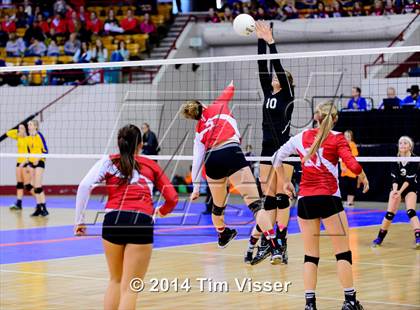 Thumbnail 1 in Yuma vs. Dolores (CHSAA 2A Playoff) photogallery.