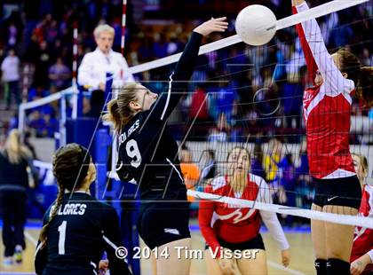 Thumbnail 1 in Yuma vs. Dolores (CHSAA 2A Playoff) photogallery.
