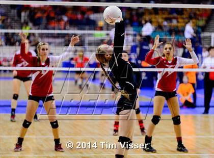 Thumbnail 2 in Yuma vs. Dolores (CHSAA 2A Playoff) photogallery.