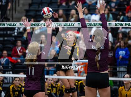 Thumbnail 3 in Morgan vs. Emery (UHSAA 3A Final) photogallery.