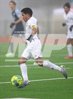 Photo from the gallery "Garland vs. Lone Star"