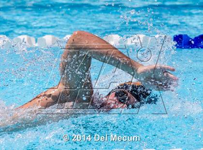 Thumbnail 1 in Hillsborough Western Conference Meet photogallery.
