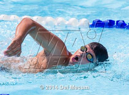 Thumbnail 2 in Hillsborough Western Conference Meet photogallery.