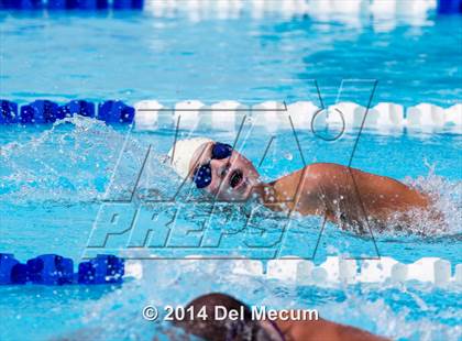 Thumbnail 3 in Hillsborough Western Conference Meet photogallery.