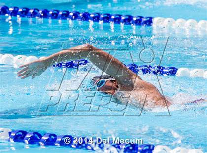 Thumbnail 1 in Hillsborough Western Conference Meet photogallery.