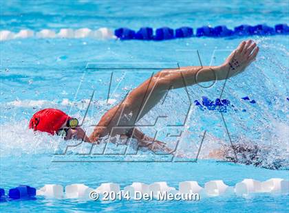 Thumbnail 3 in Hillsborough Western Conference Meet photogallery.