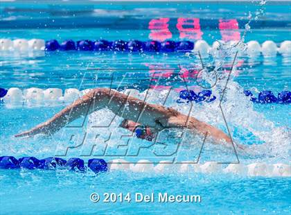 Thumbnail 2 in Hillsborough Western Conference Meet photogallery.