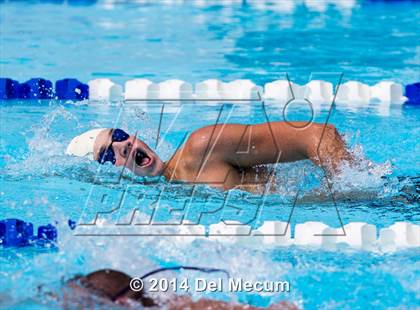Thumbnail 1 in Hillsborough Western Conference Meet photogallery.