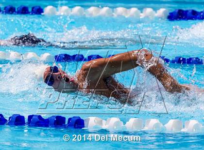 Thumbnail 2 in Hillsborough Western Conference Meet photogallery.