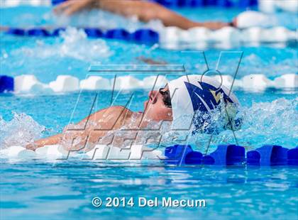 Thumbnail 1 in Hillsborough Western Conference Meet photogallery.