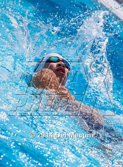 Thumbnail 1 in Hillsborough Western Conference Meet photogallery.