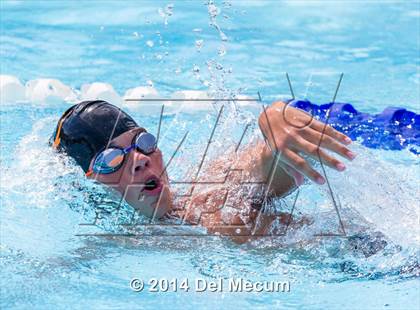 Thumbnail 3 in Hillsborough Western Conference Meet photogallery.
