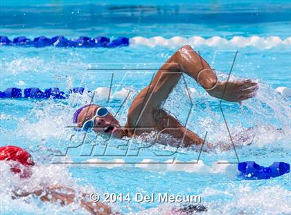 Thumbnail 2 in Hillsborough Western Conference Meet photogallery.