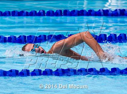 Thumbnail 2 in Hillsborough Western Conference Meet photogallery.