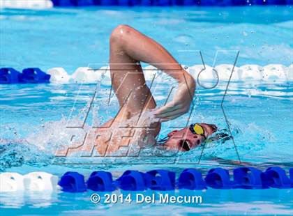 Thumbnail 1 in Hillsborough Western Conference Meet photogallery.