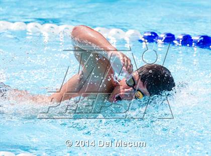 Thumbnail 1 in Hillsborough Western Conference Meet photogallery.