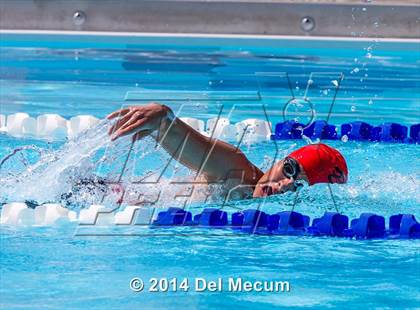 Thumbnail 3 in Hillsborough Western Conference Meet photogallery.