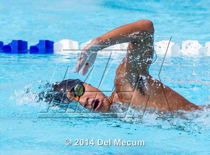 Thumbnail 3 in Hillsborough Western Conference Meet photogallery.