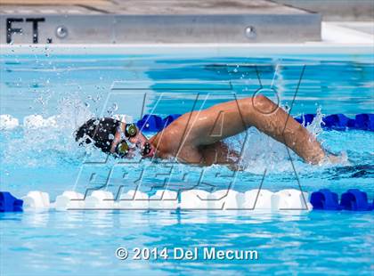 Thumbnail 1 in Hillsborough Western Conference Meet photogallery.