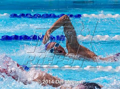 Thumbnail 3 in Hillsborough Western Conference Meet photogallery.