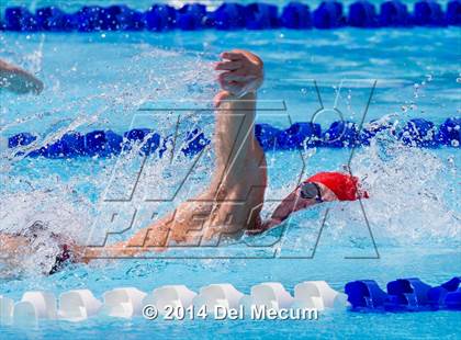 Thumbnail 1 in Hillsborough Western Conference Meet photogallery.