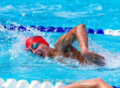 Thumbnail 2 in Hillsborough Western Conference Meet photogallery.