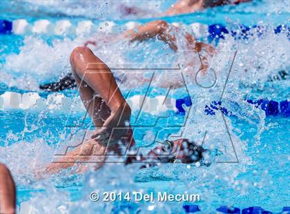 Thumbnail 2 in Hillsborough Western Conference Meet photogallery.