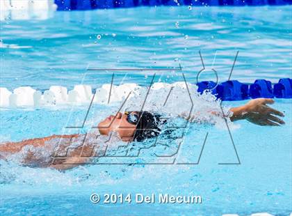 Thumbnail 3 in Hillsborough Western Conference Meet photogallery.