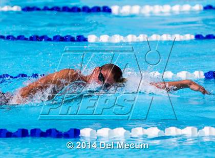 Thumbnail 1 in Hillsborough Western Conference Meet photogallery.