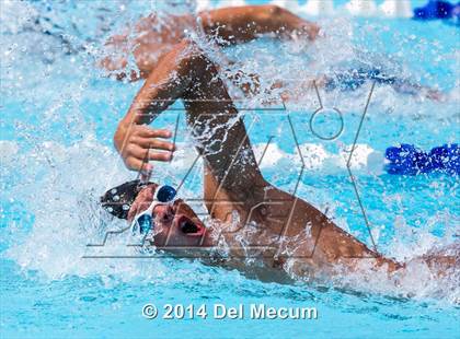 Thumbnail 1 in Hillsborough Western Conference Meet photogallery.