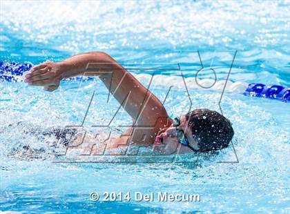 Thumbnail 2 in Hillsborough Western Conference Meet photogallery.