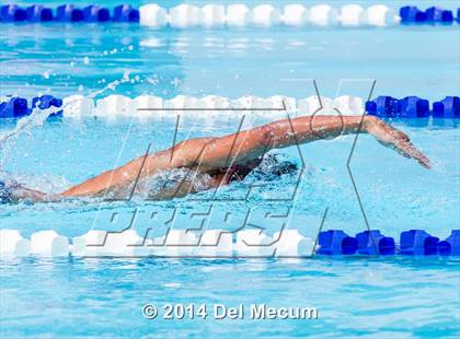 Thumbnail 3 in Hillsborough Western Conference Meet photogallery.