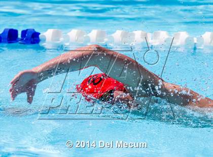 Thumbnail 3 in Hillsborough Western Conference Meet photogallery.